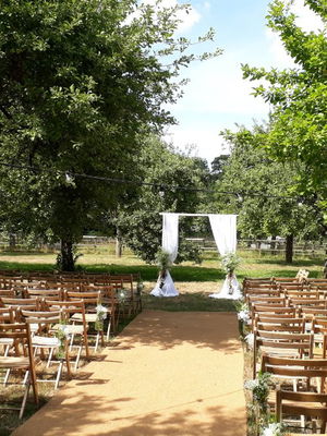 Event Egeria Strings String Quartet Surrey