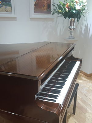 Event Cocktail Jazz Jazz Band Shevington, Greater Manchester