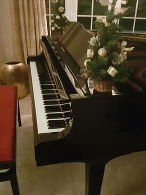 Event Cocktail Jazz Jazz Band Shevington, Greater Manchester