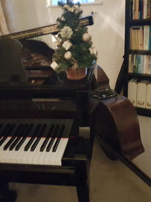 Event Cocktail Jazz Jazz Band Shevington, Greater Manchester