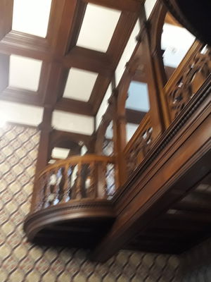 Event Egeria Strings String Quartet Surrey