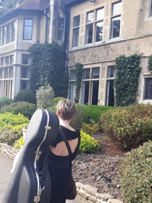 Event Egeria Strings String Quartet Surrey