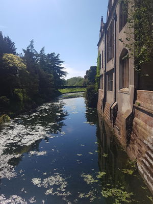 Event Cocktail Jazz Jazz Band Shevington, Greater Manchester