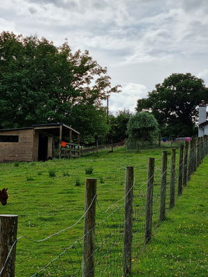 Event The One Man Wedding Band Singer Guitarist Falkirk