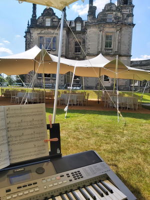 Event Amy Francesca Wedding Ceremony Musician Staffordshire