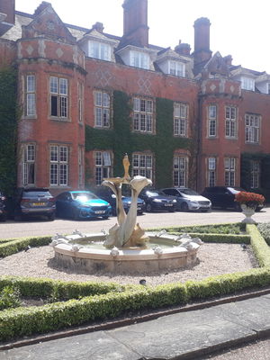 Event Egeria Strings String Quartet Surrey