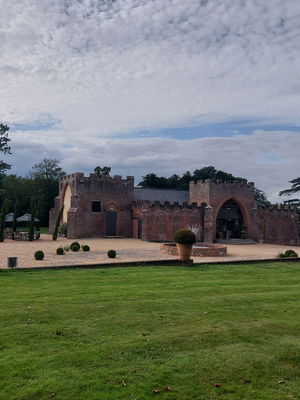 Event Calithea String Quartet String Quartet London