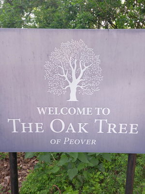 Event Cocktail Jazz Jazz Band Shevington, Greater Manchester