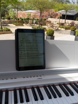 Event Amy Francesca Wedding Ceremony Musician Staffordshire