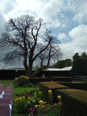 Event Egeria Strings String Quartet Surrey