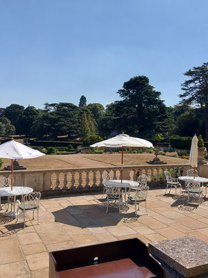 Event Calithea String Quartet String Quartet London