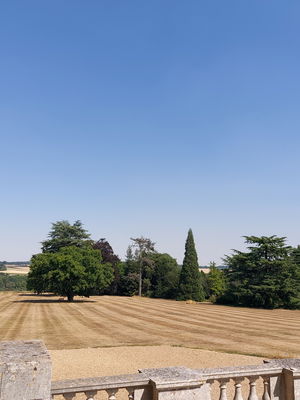 Event Calithea String Quartet String Quartet London