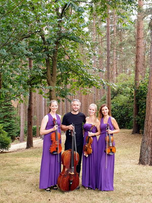 Event Jasmine Strings String Quartet London