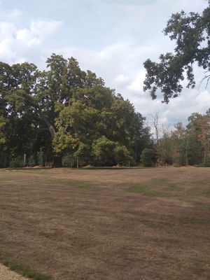 Event Egeria Strings String Quartet Surrey