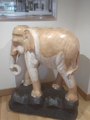 Event Egeria Strings String Quartet Surrey