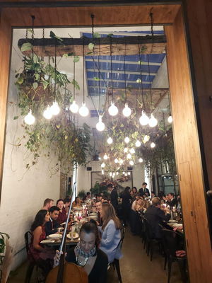 Event Calithea String Quartet String Quartet London