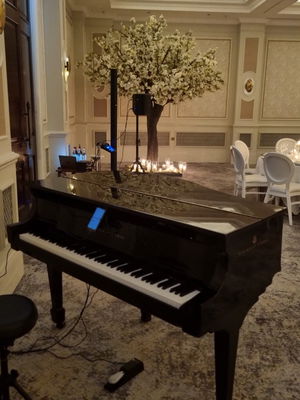 Event Lee Mathews Pianist London