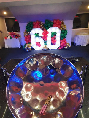 Event Mica Steel Pannist Steel Band West Sussex