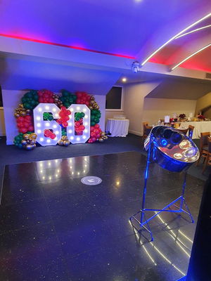 Event Mica Steel Pannist Steel Band West Sussex