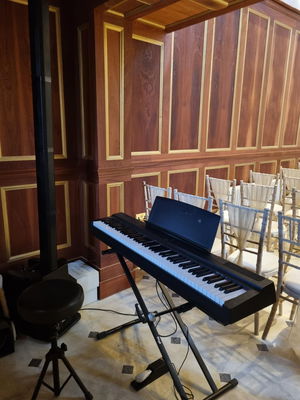 Event Lee Mathews Pianist London