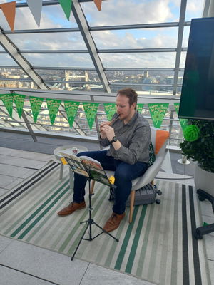 Event David Pianist and Irish Whistle Player Pianist West Midlands