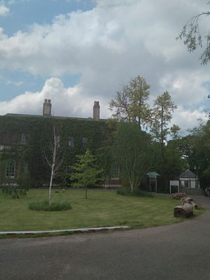 Event Egeria Strings String Quartet Surrey