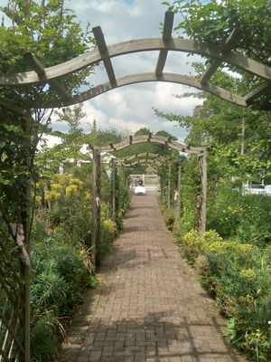 Event Egeria Strings String Quartet Surrey