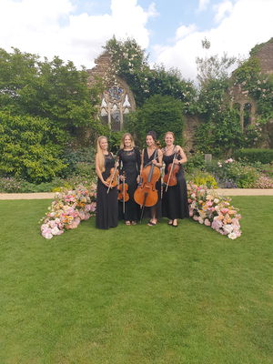 Event Jasmine Strings String Quartet London