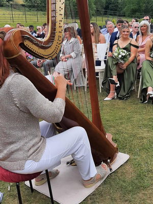 Event M F Harp (Harpist) Harpist Bristol, Somerset