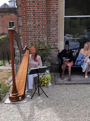 Event M F Harp (Harpist) Harpist Bristol, Somerset