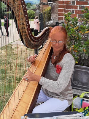 Event M F Harp (Harpist) Harpist Bristol, Somerset