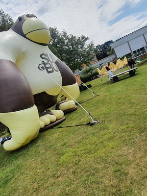 Event Gary Caribbean Steel Drums Steel Band Buckinghamshire