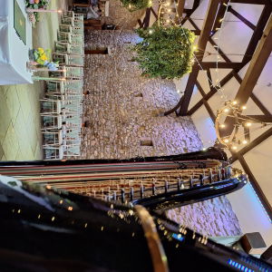 The Function Harpist Harpist Review Wedding Lancashire