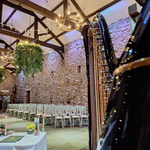 The Function Harpist Harpist Wedding Lancashire