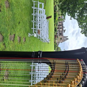 The Function Harpist Harpist Review Wedding Shropshire