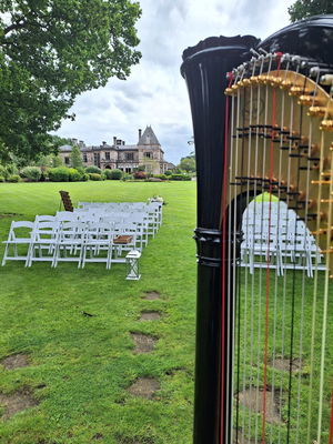 Event The Function Harpist Harpist Chester