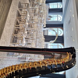 The Function Harpist Harpist Review Wedding Shropshire