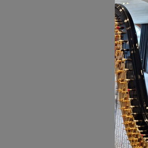 The Function Harpist Harpist Wedding Shropshire