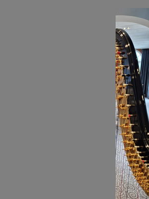 Event The Function Harpist Harpist Chester