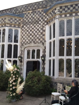 Event Egeria Strings String Quartet Surrey