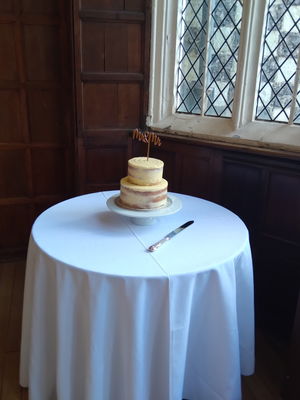 Event Egeria Strings String Quartet Surrey