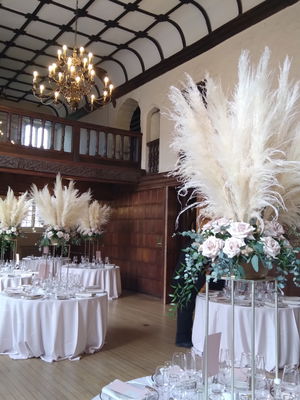 Event Egeria Strings String Quartet Surrey