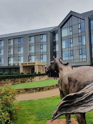Event Gary Caribbean Steel Drums Steel Band Buckinghamshire