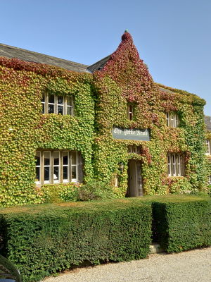 Event Cocktail Jazz Jazz Band Shevington, Greater Manchester