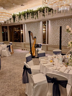 Event The Function Harpist Harpist Chester