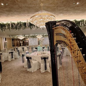 The Function Harpist Harpist Wedding Cheshire