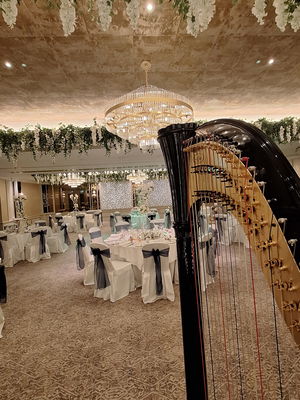 Event The Function Harpist Harpist Chester