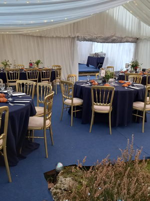 Event Cocktail Jazz Jazz Band Shevington, Greater Manchester