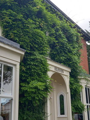 Event Cocktail Jazz Jazz Band Shevington, Greater Manchester