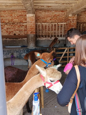 Event Moore Strings String Quartet Sheffield, South Yorkshire